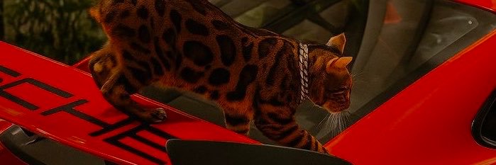 avilasantiagoo's profile banner image