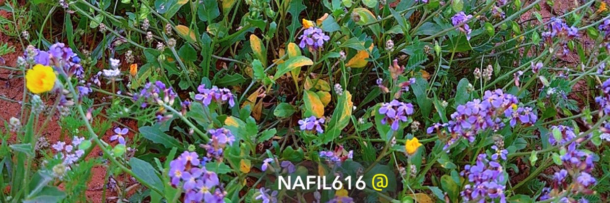 nafil616's profile banner image