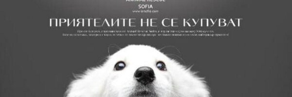 Animal Rescue Sofia Profile Banner
