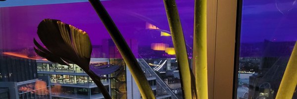 ReeJo1 Profile Banner