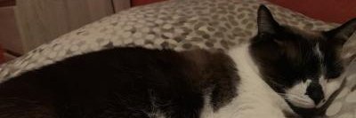 Lexarc 💙💛 banner