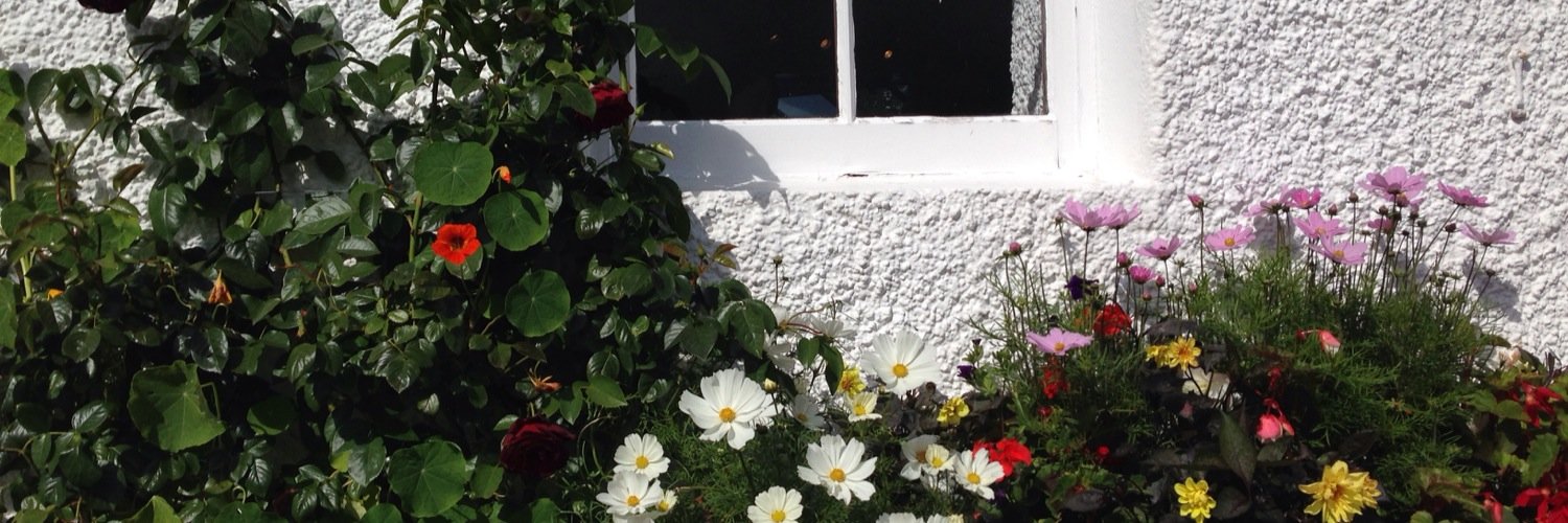 Lisa MacDonald banner