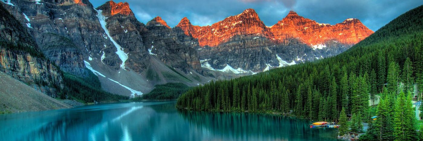 Anisha Guda, MD banner