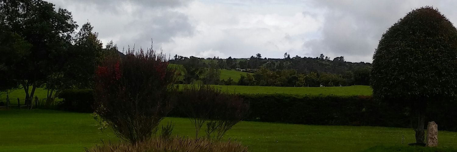 HECTOR RODRIGUEZ. 🇱🇹 banner