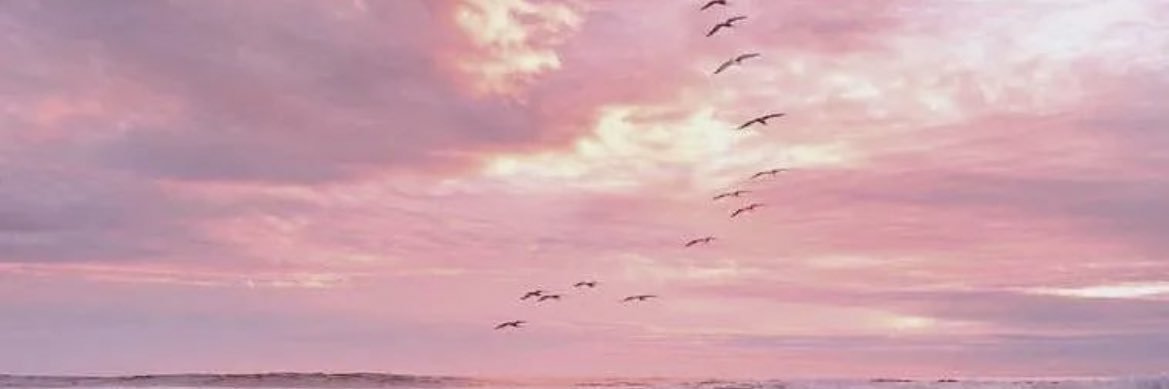 _Jasveen's profile banner image