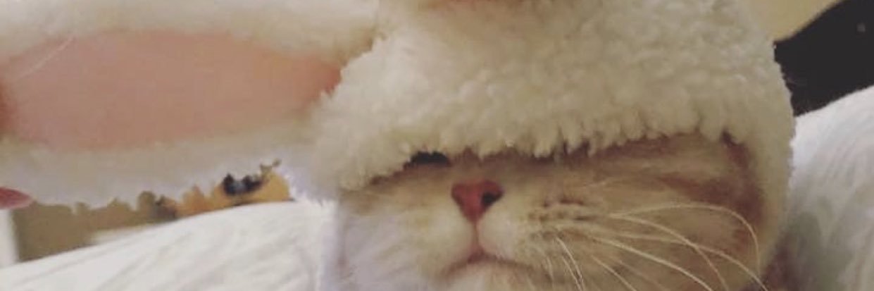 RENXi7_u's profile banner image