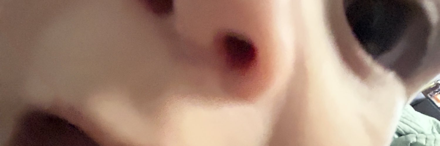 jeniacebolla's profile banner image
