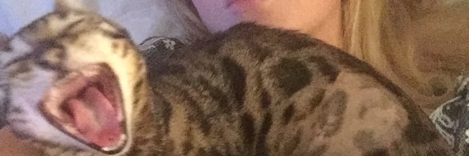 LucyKill_'s profile banner image