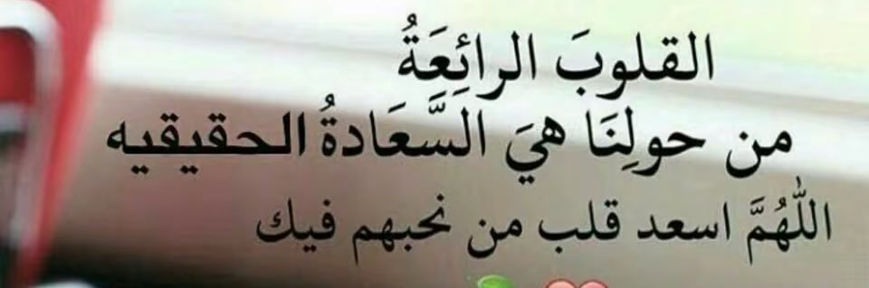 عبدالله غانم أبوأنس banner