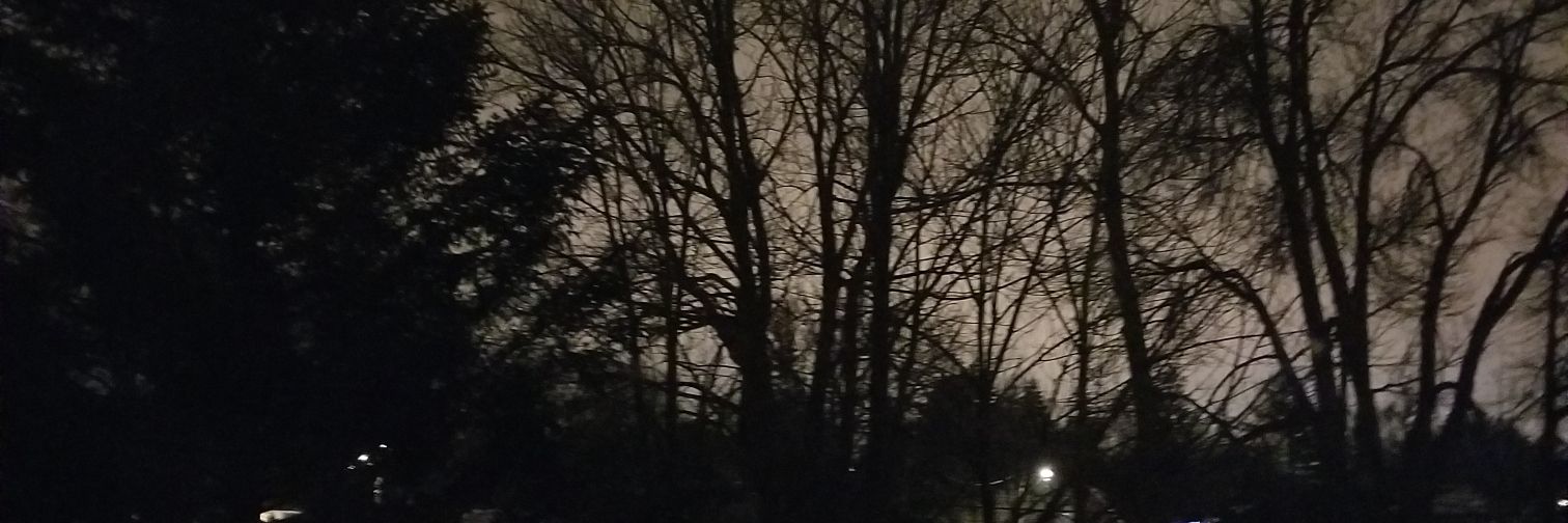 carlyevans93's profile banner image