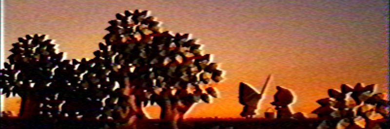 Polymath_01's profile banner image