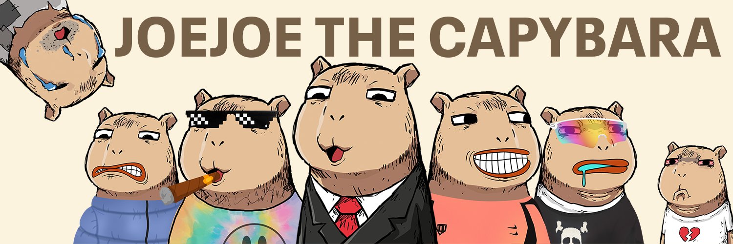 joe_capybara's profile banner image