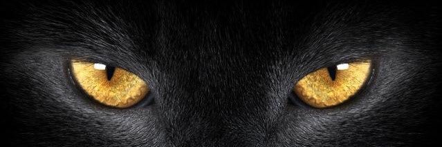MotisL's profile banner image