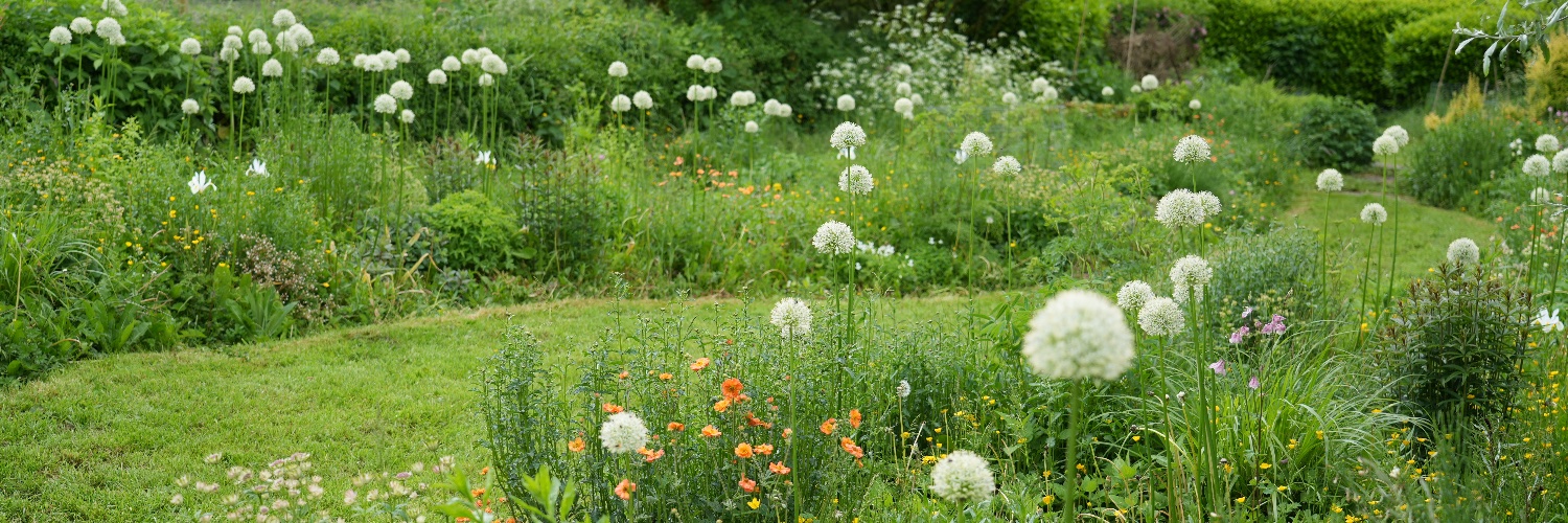 Jack Wallington banner