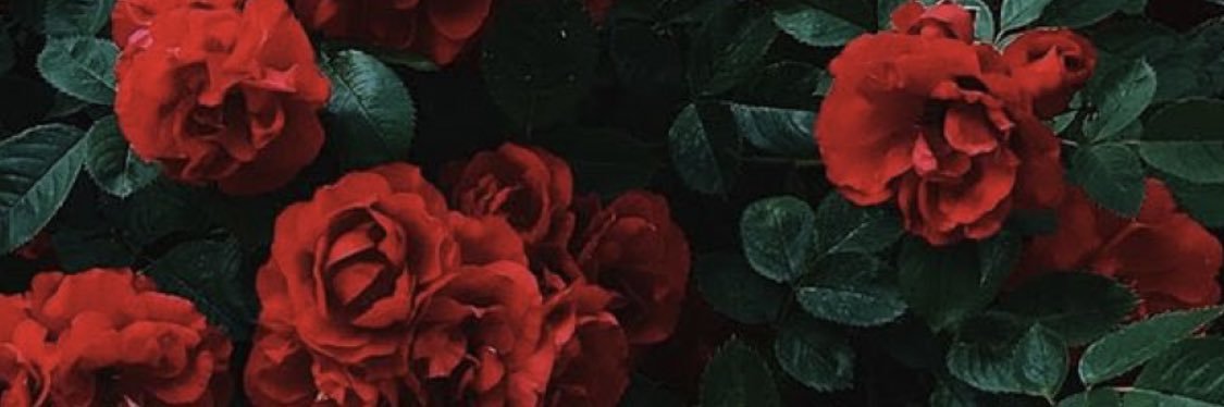 DuannaFrerking's profile banner image