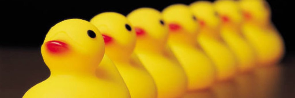 Nicole Henderson - Capturing the Story banner