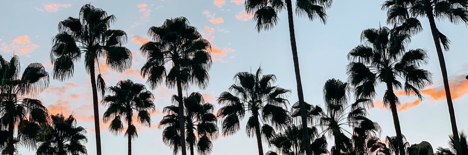 tabfrancka's profile banner image