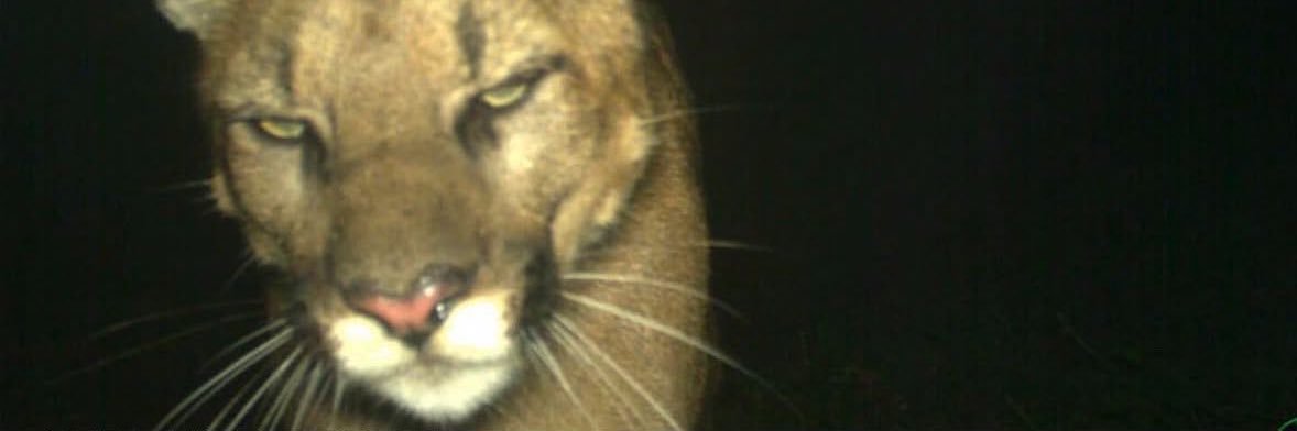 seymakebap's profile banner image