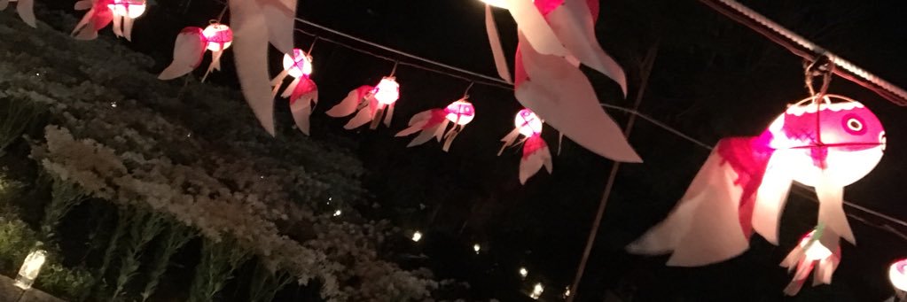 maro_bonnu's profile banner image