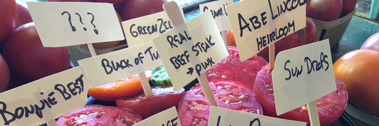 thevegguy's profile banner image