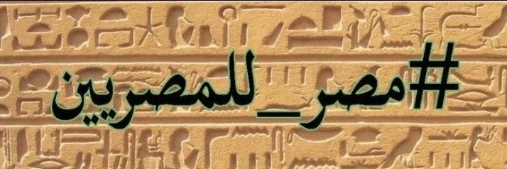 raniazeyada's profile banner image