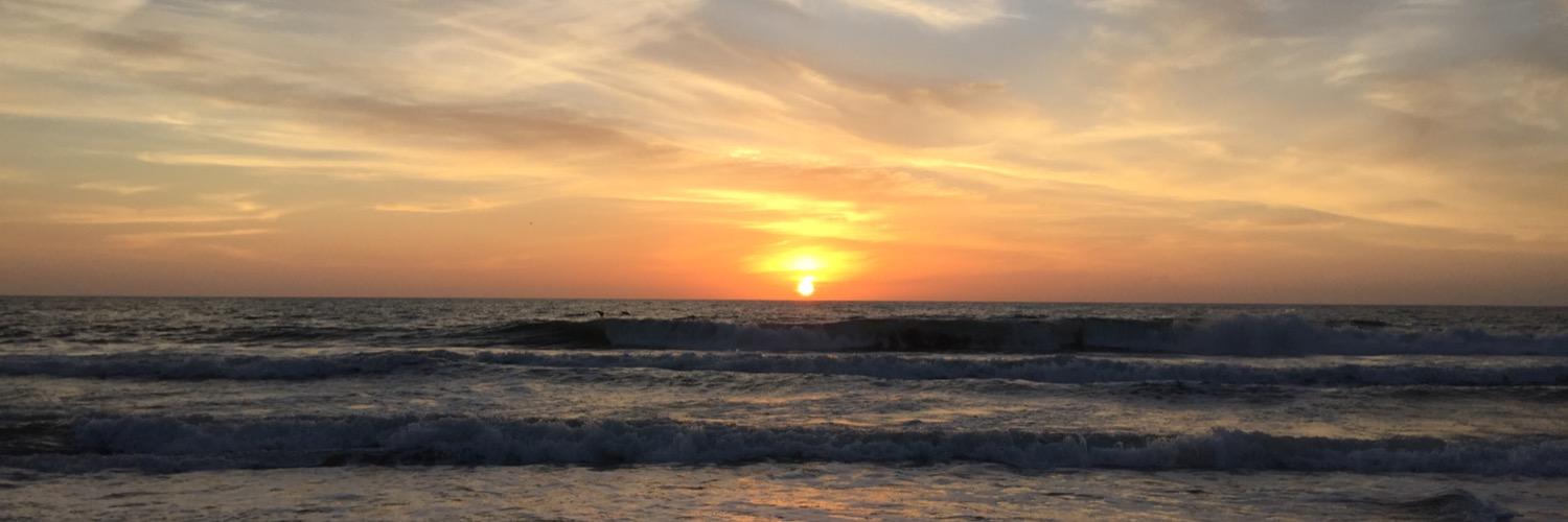 Healthy Skeptic banner