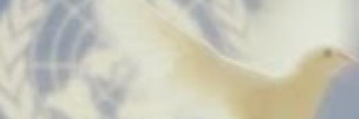 MauiNovember's profile banner image