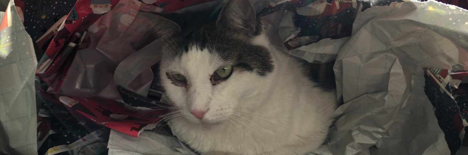 chris_lilli's profile banner image