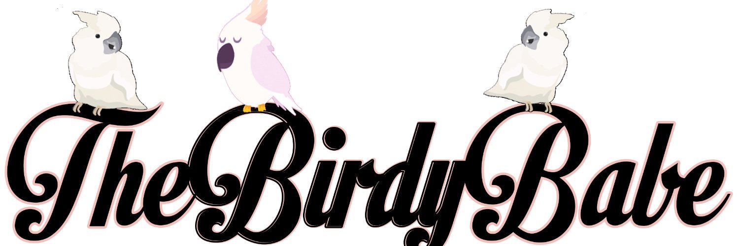 TheBirdyBabe's profile banner image