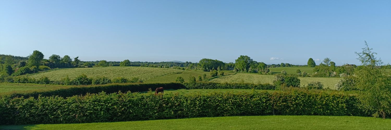 David Whelehan banner