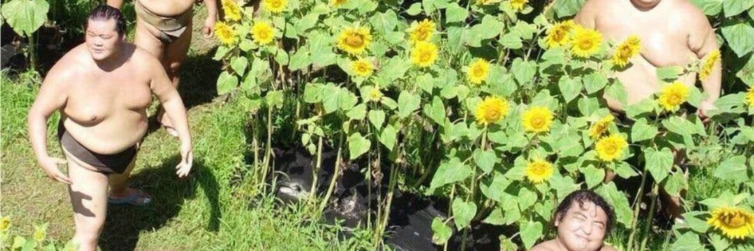 🌻 ChoompyDoompy 🌻 banner