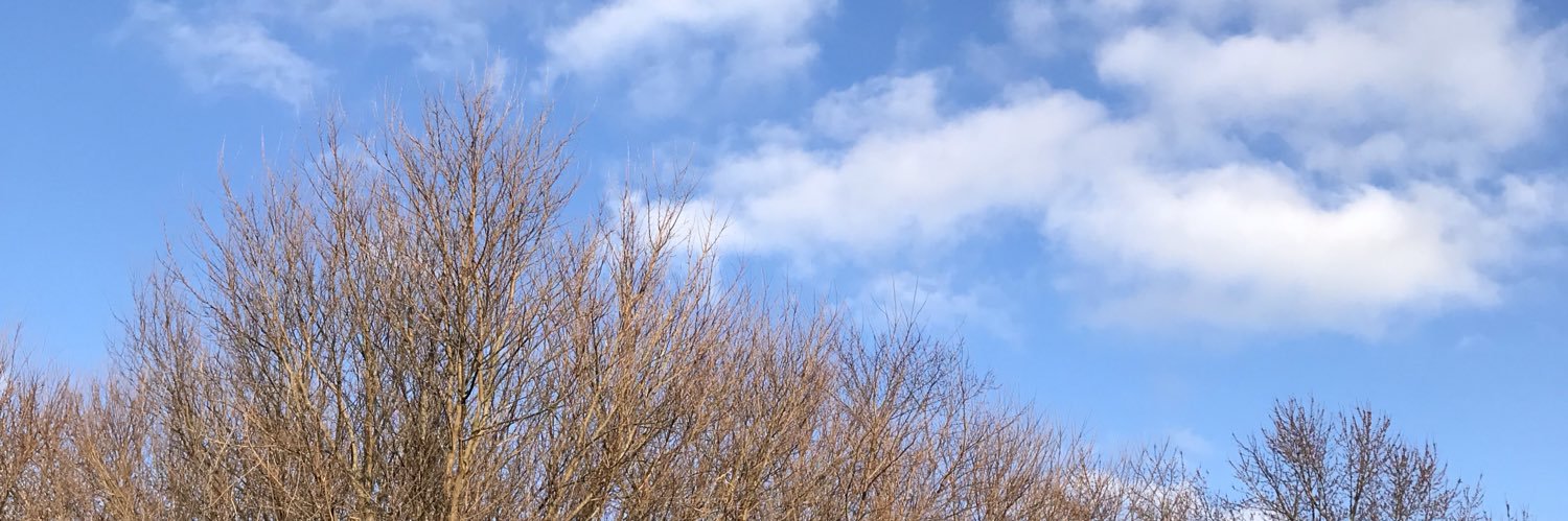 YoGrannyHouse1's profile banner image