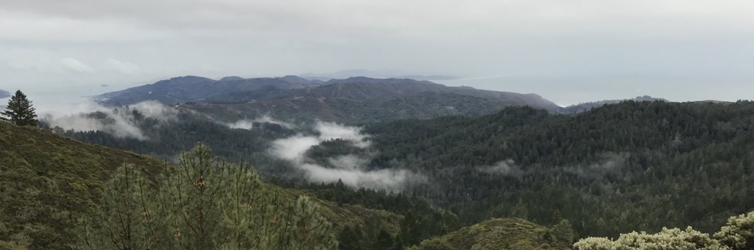 megaanflynn's profile banner image