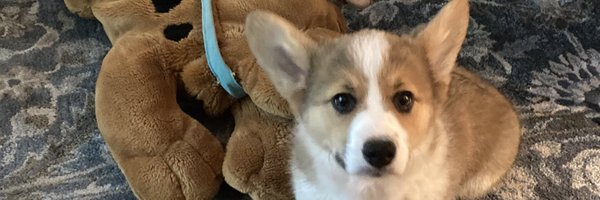 tompor Profile Banner