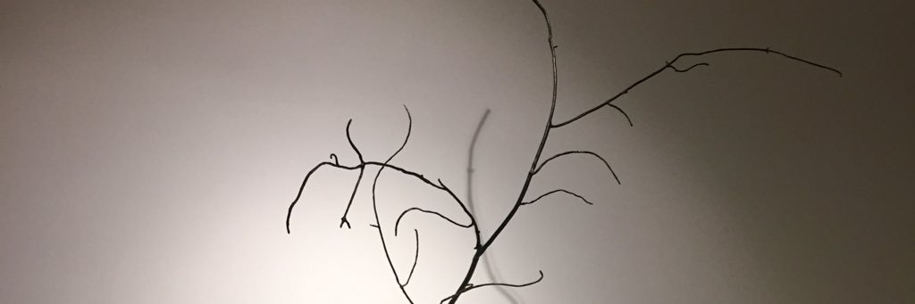 unbrexkable's profile banner image