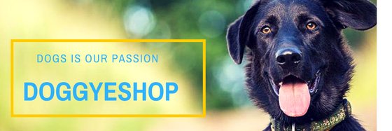 Dogbreeds4's profile banner image