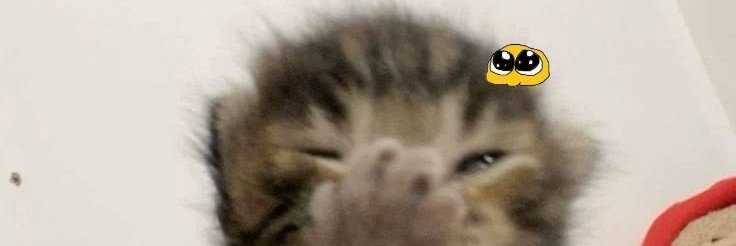 KnpMinju's profile banner image