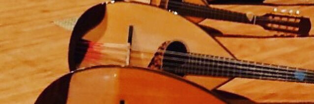 tgu_plec's profile banner image