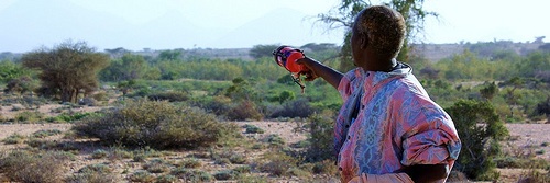 Nabad iyo Caano banner