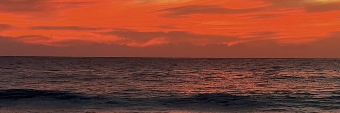 🌺 banner
