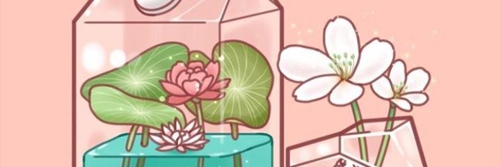 elsacessara's profile banner image