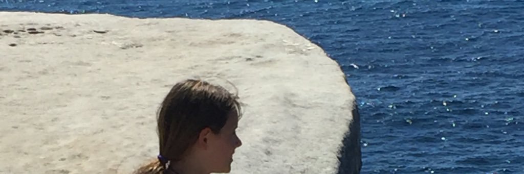 TeesTardis's profile banner image