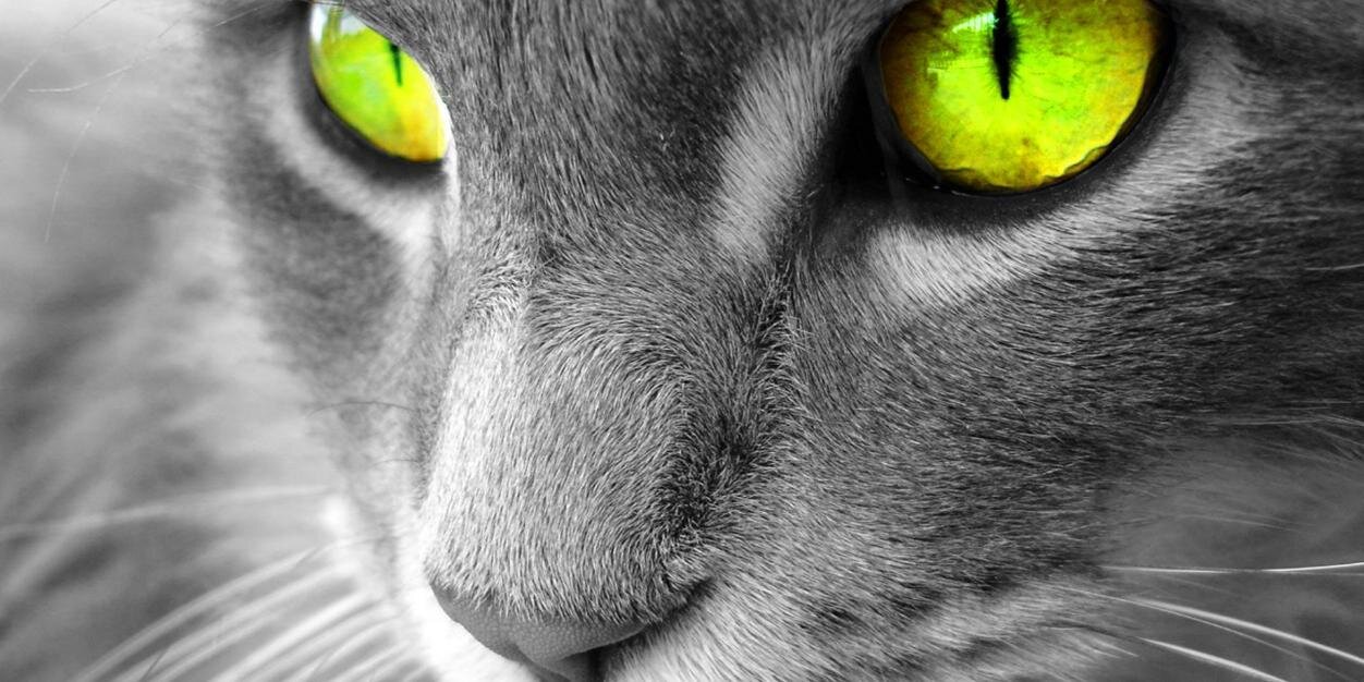 ari prasetiyo banner