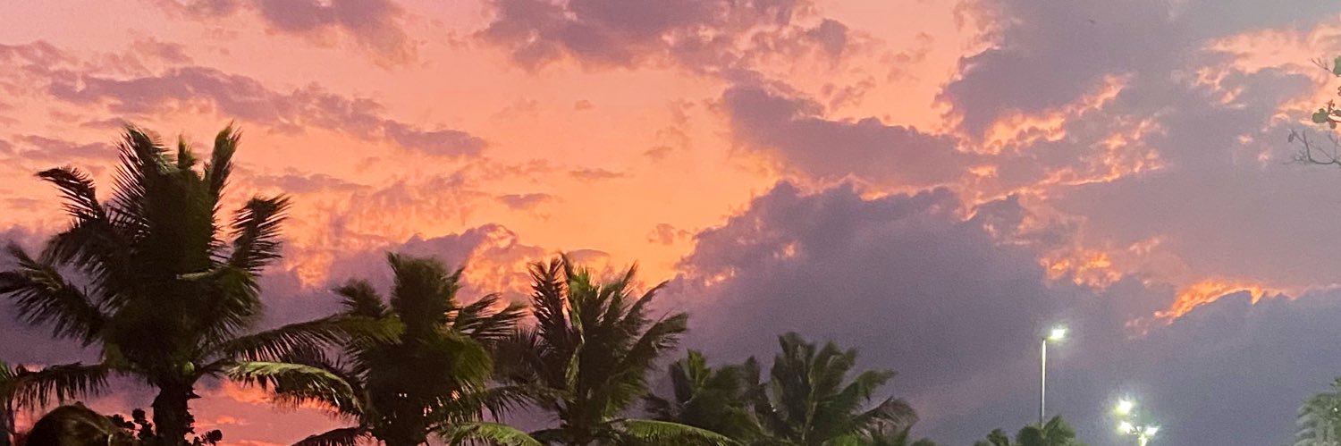 mayaradep's profile banner image
