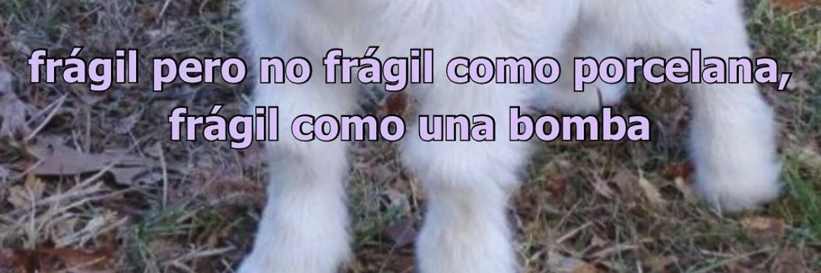 Roberta Pardo da shopee banner