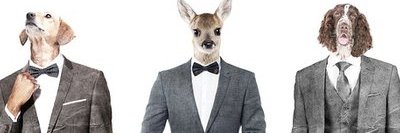 jennifer lynn darden banner