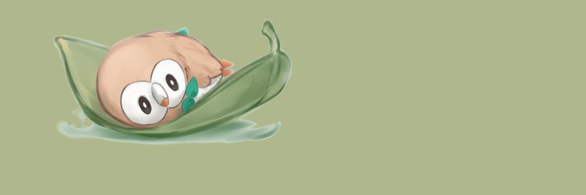 PragaTCG's profile banner image