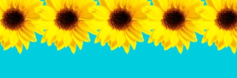 _sn0603se_'s profile banner image
