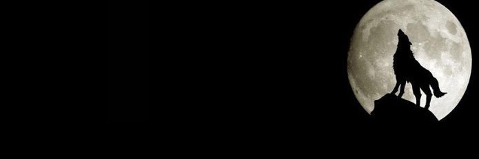 ScylisSynaptic's profile banner image