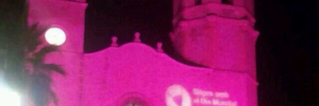 rosell_nuria's profile banner image